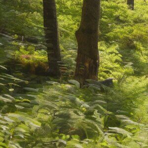 Meet your Posher, Gal